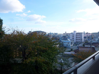 【展望】