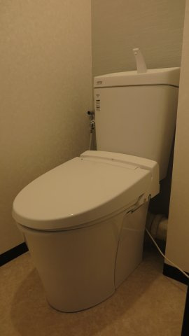 ネオハイツ南堀江のトイレ