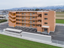 ドリームフェリオの画像