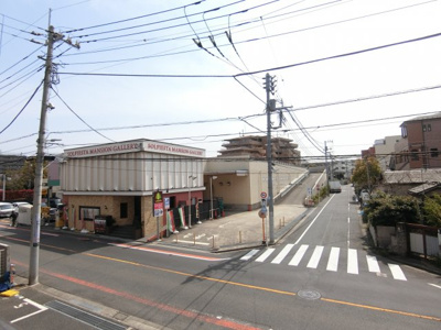 【展望】 | ディナ・スカーラお花茶屋