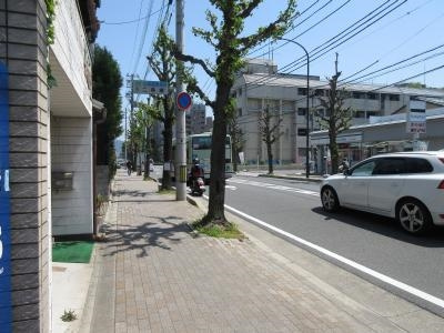 サンハウス御池の周辺|前面道路