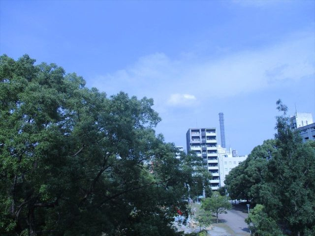 パークサイドいちかわ｜名古屋市の賃貸ならMy賃貸の展望|パークサイドいちかわ