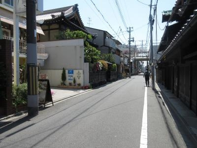 セピアハイツ大宮の周辺|前面道路