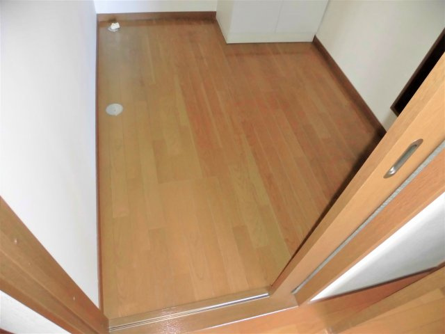 メゾン国島の洗面所