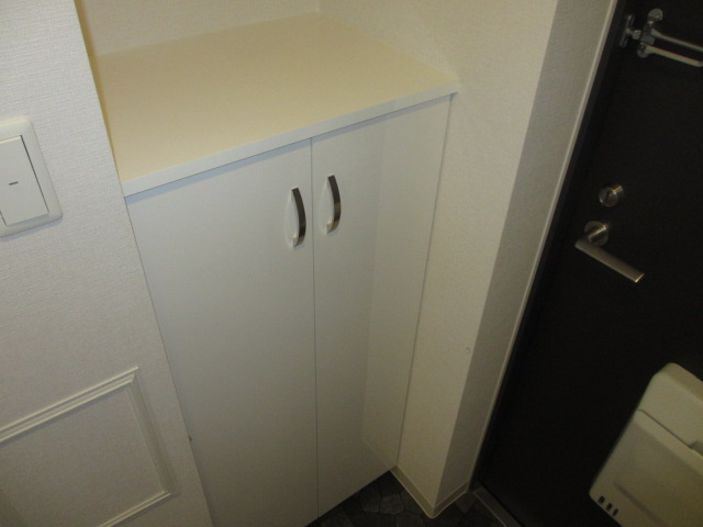 M’プラザ小阪駅前の収納