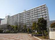 ファミリータウン東陽J棟の画像