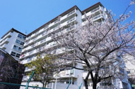 浅草ロイヤルマンションの画像