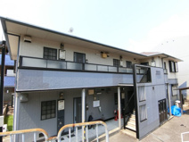 パナシェモアの画像