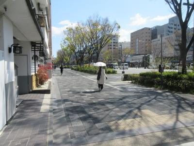 グランドパレス御池の地図|前面道路（御池通）