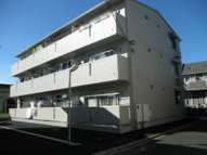 Ｌａ　Ｃａｓａ　Ｉの画像
