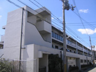 ドエル野里の画像