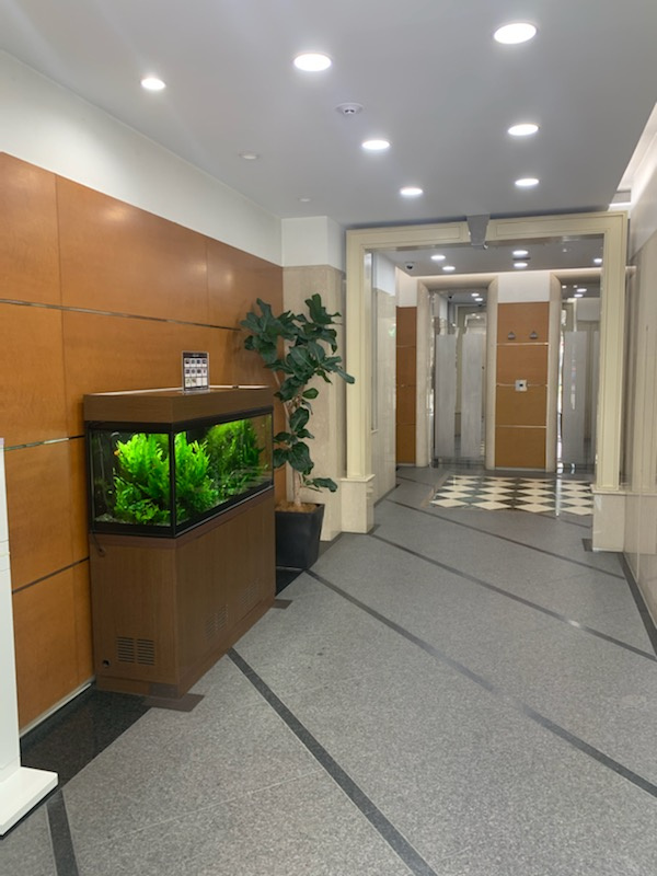 第５安田ビルのエントランス