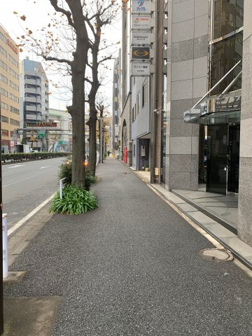 マストビルの周辺