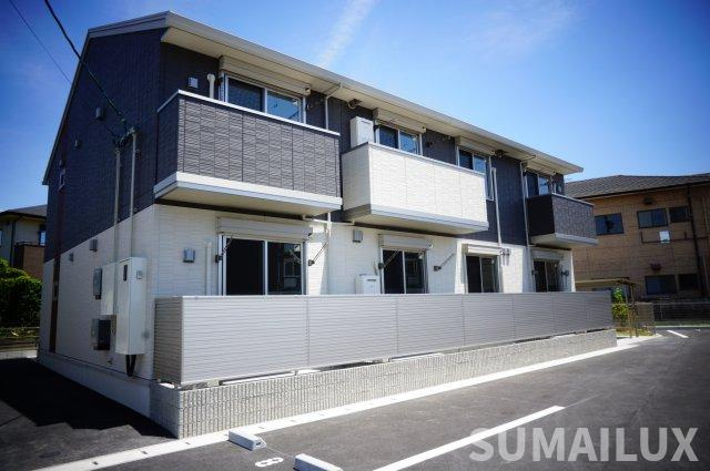 Into　Bliss　（ｲﾝﾄﾌﾞﾘｽ）