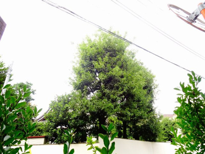 【展望】 | プレール・ドゥーク三軒茶屋