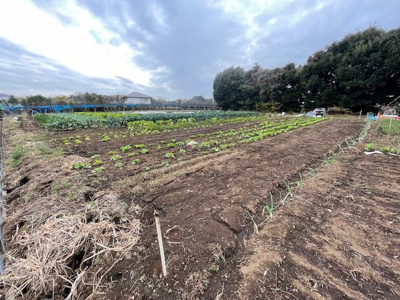 【外観】 | 鎌ケ谷市中沢　畑