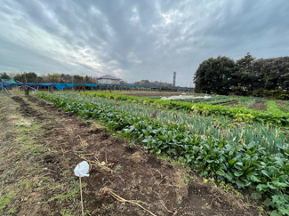 【外観】 | 15㎡に分割可能です。