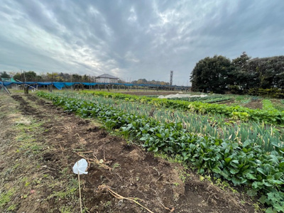 【外観】 | 鎌ケ谷市中沢　畑 | 15㎡に分割可能です。