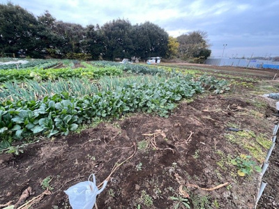 【外観】 | 鎌ケ谷市中沢　畑 | 駐車場は空いているスペースに止めてください。