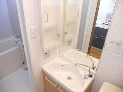 ベラジオ烏丸三条の独立洗面台|シャンプードレッサー