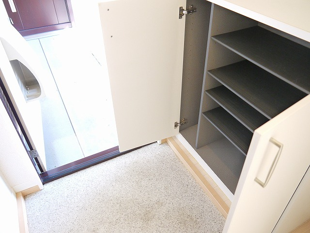 グリーンメゾン菰川Cの玄関