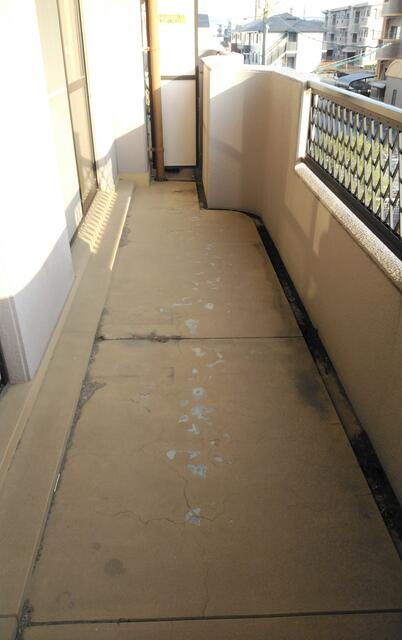 熊本市中央区八王寺町の賃貸マンションのバルコニー