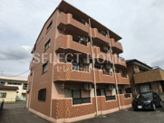 ピーストーン２１の画像