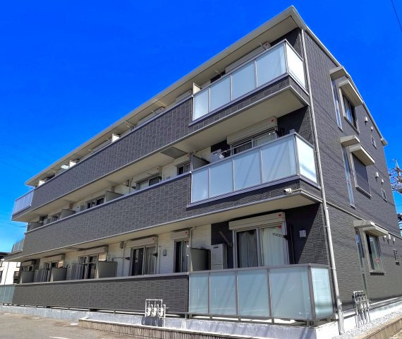 Riqueza上面