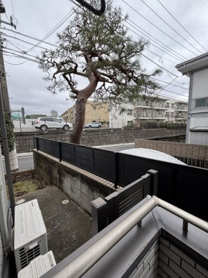 【展望】 | オレンジ