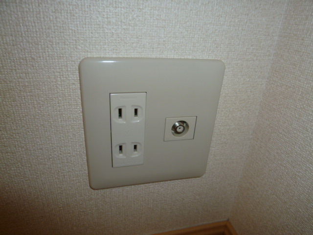 フリージアのその他|ＴＶジャック