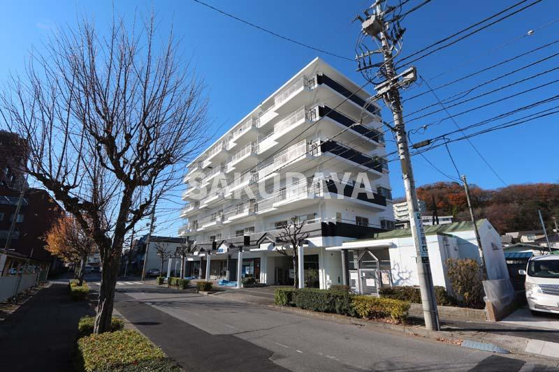 ラフェスタ足利本城の外観