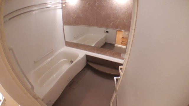 江東区豊洲５丁目の賃貸マンションの浴室|反転タイプになります