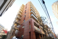 Rising place浅草参番館の画像