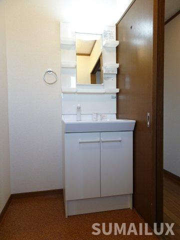 熊本市東区戸島１丁目の賃貸マンションの独立洗面台