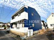 プリティスギタの画像