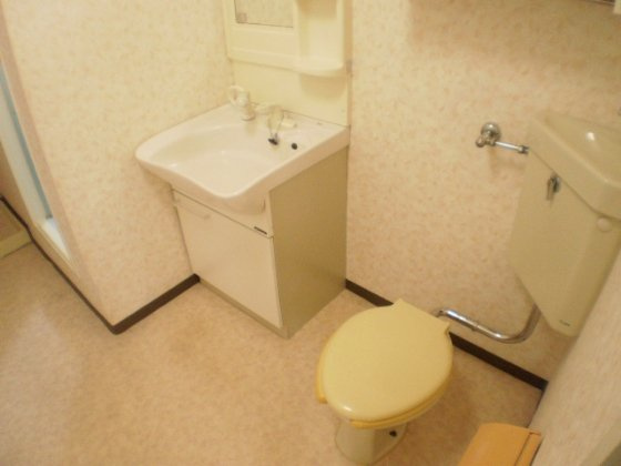 グリーンハイツいしまちのトイレ