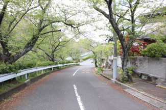 【前面道路含む現地写真】