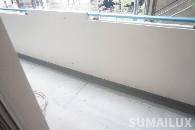 熊本市中央区新大江１丁目の賃貸マンションのバルコニー