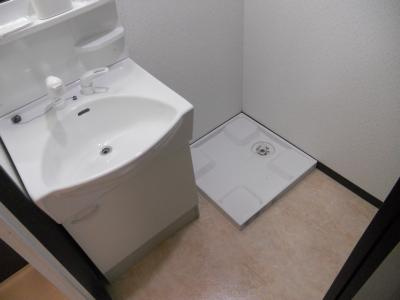 サクシード西院の独立洗面台