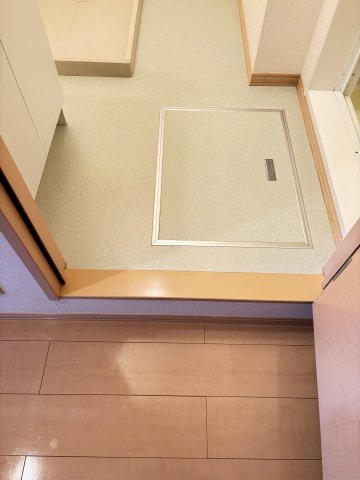 グランシャリオ新開の洗面所