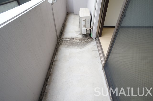 熊本市中央区南熊本１丁目の賃貸マンションのバルコニー