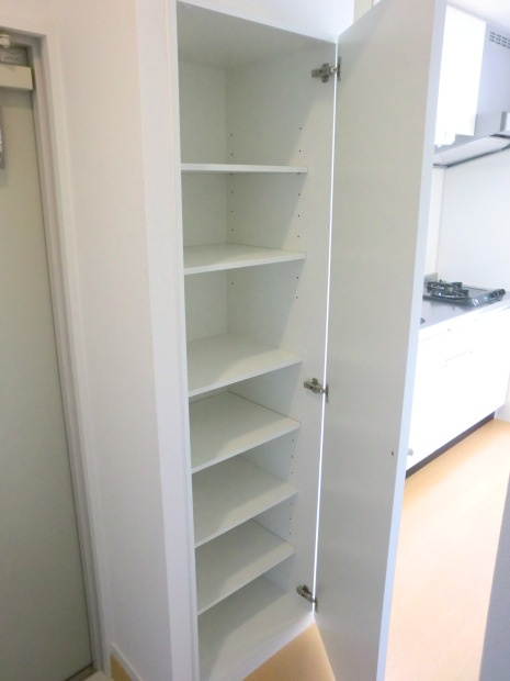 大阪市淀川区三津屋南２丁目の賃貸マンションの収納