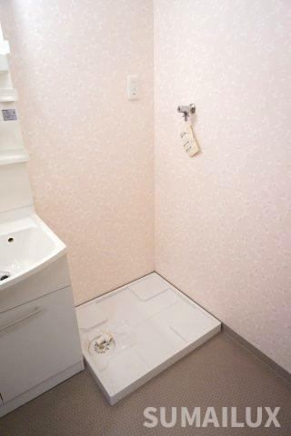 白山ヒルズの洗面所