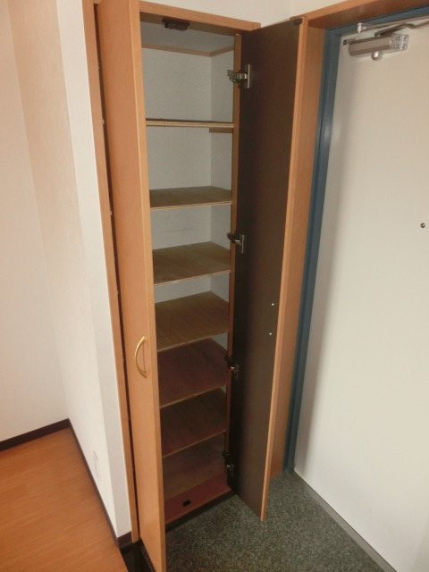 アエラスのその他