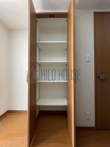 日神デュオステージ川越新富町の収納