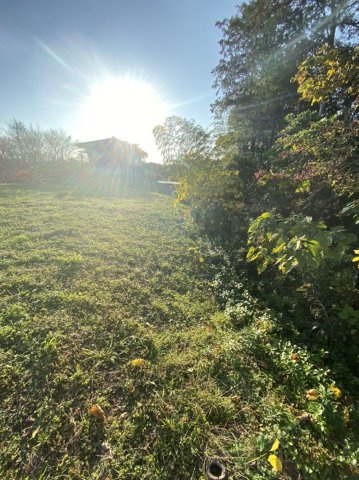 【その他】 | 夏吉売地