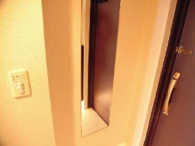 ベラジオ烏丸東の内装|玄関鏡
