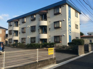 パルサーの画像