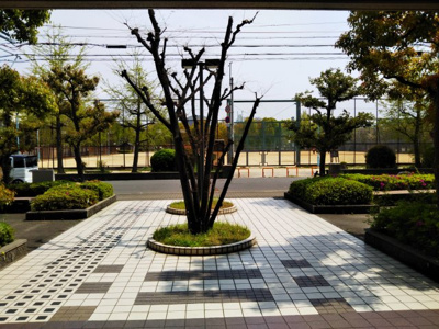 【展望】 | ルネ巽公園