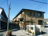 プリムローズの画像